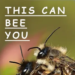 This Can Bee You | salvadorsru.com